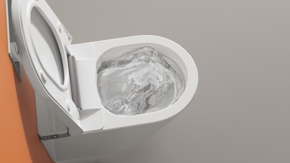 Rimless flush